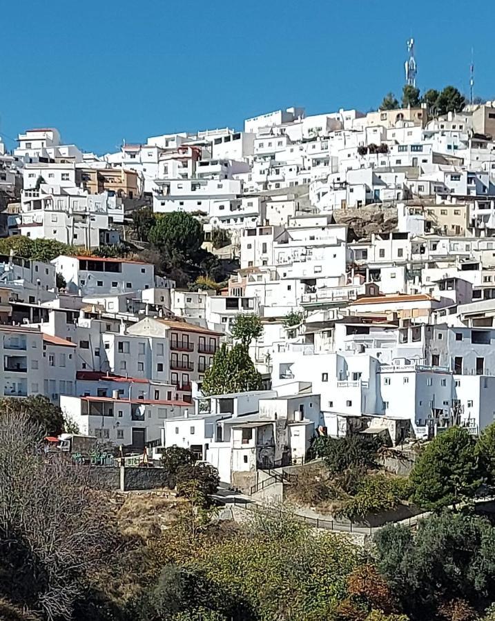 הוילה Albondon Cortijo Blanco מראה חיצוני תמונה