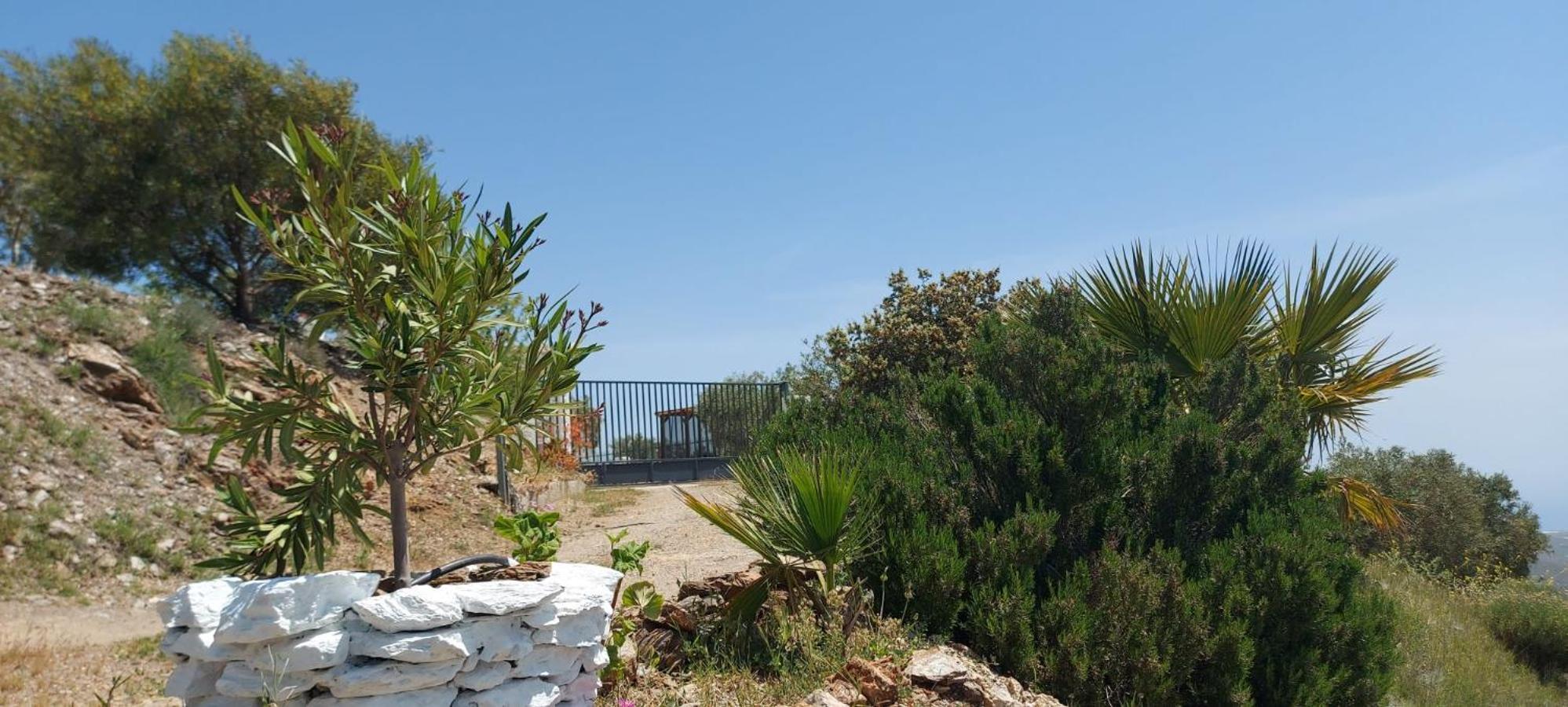הוילה Albondon Cortijo Blanco מראה חיצוני תמונה