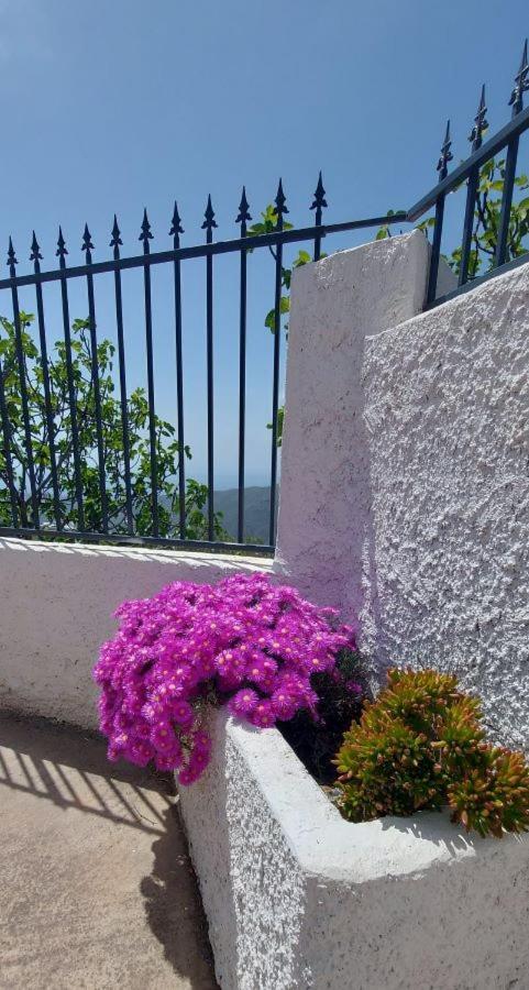 הוילה Albondon Cortijo Blanco מראה חיצוני תמונה